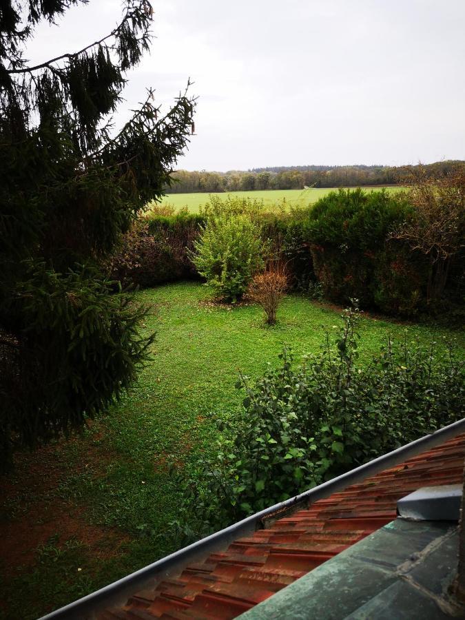 Domaine De La Borde Bed & Breakfast Damparis Exterior photo
